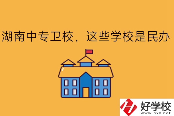 湖南中專衛校，這些學校是民辦!