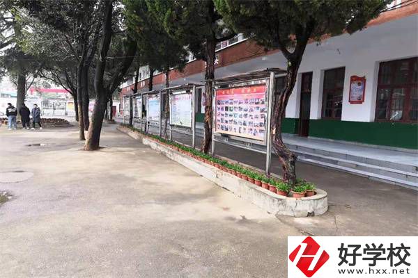 岳陽有沒有升學率高的民辦職高？職高能升學是真的嗎？