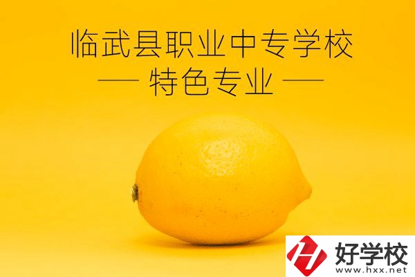 臨武縣職業中專學校好嗎？有哪些特色專業？