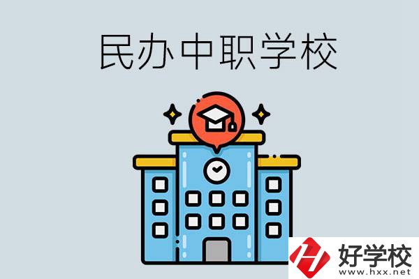 婁底新化縣的民辦中職學校一共有多少所？
