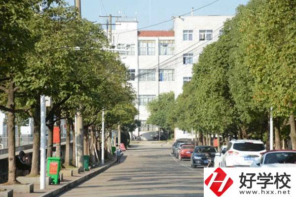 懷化經開區有什么職校？開設了哪些專業？