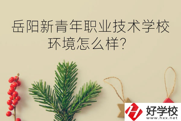 岳陽新青年職業技術學校好不好？環境怎么樣？