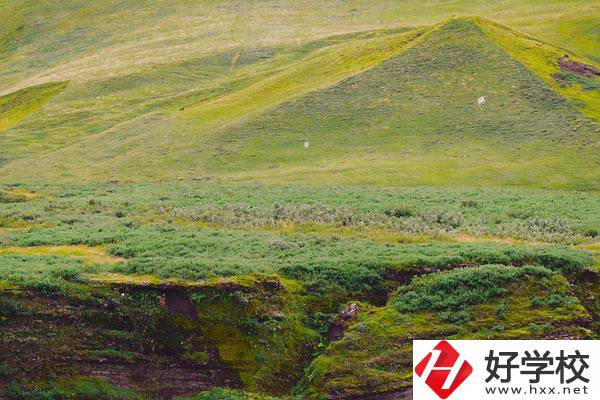 湖南衡南職業中等專業學校好嗎？學校有什么優勢？