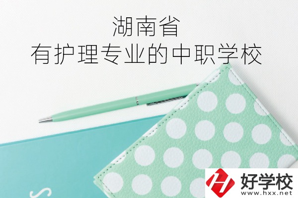 湖南省內有護理專業的中職學校有哪些？