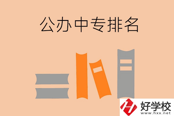 湘潭公辦中專排名前五的是哪些？