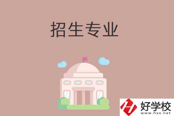 益陽有哪些高職院校設立了中職部？招生專業有哪些？