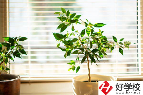 湖南省商業技師學院有哪些教學特色？報考有何要求？