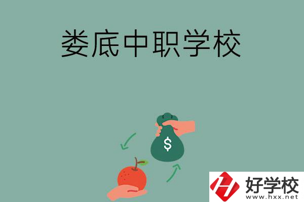 婁底市有哪些中職學校？排名前五的是哪幾所？