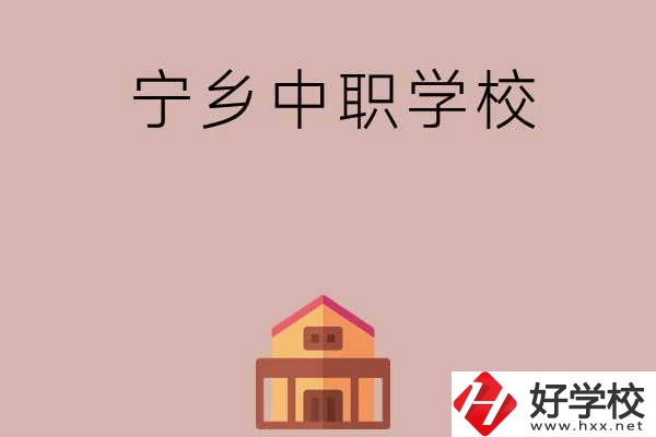 寧鄉有哪些好的中職學?？梢赃x擇?