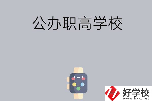 長沙哪些公辦職高學校比較有特色？