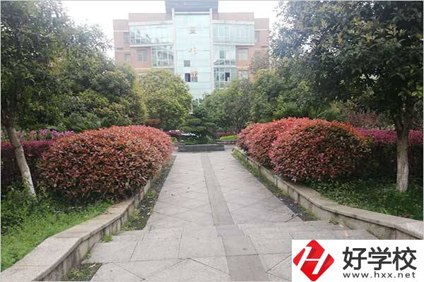 衡陽有哪所職高學校開設了3+2分段制？可以學哪些專業？
