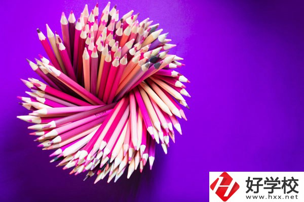 在懷化有什么職?？梢詫W習幼師？好不好？