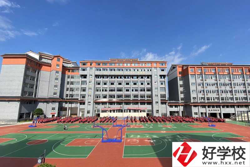 懷化市精武體育藝術職業學?；@球場