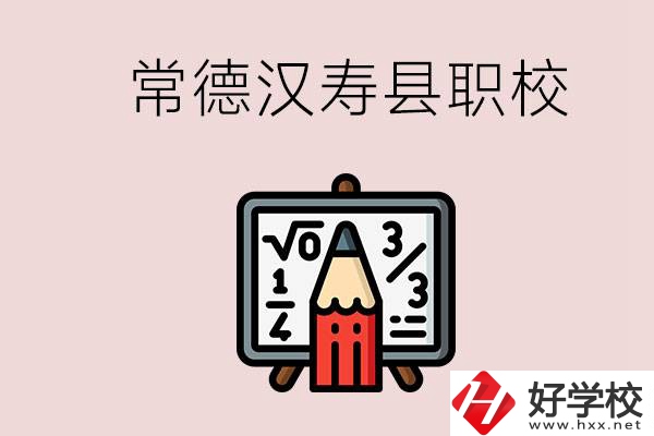 常德的漢壽縣有什么職校？是公辦的嗎？