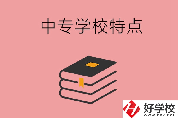 湖南省正規的中專學校，具備哪些特點？