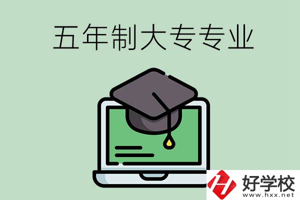 湖南的五年制大專學校有哪些就業前景好的專業？