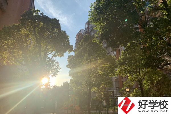 湖南省岳陽縣職業中專有哪些專業？