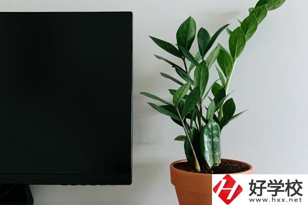 岳陽市網絡工程職業技術學校熱門專業