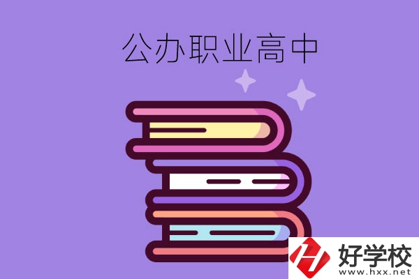 長沙市有哪些公辦職業高中學校？
