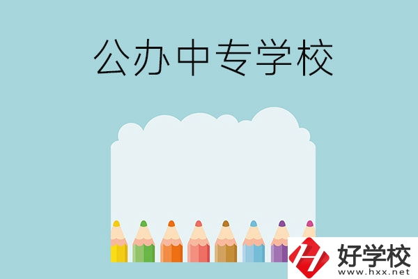 湖南地區有哪些公辦的中專學?？梢酝扑]呢？
