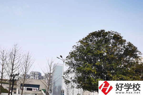 益陽科技工程學校有哪些專業？就業如何？