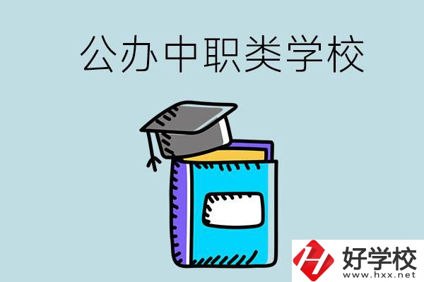 湘西的公辦中職類學校一共有多少所？