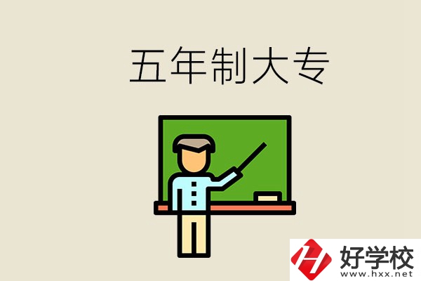 岳陽有哪些五年制大專？畢業了怎么發展？