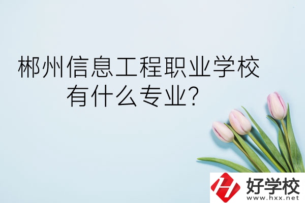 郴州信息工程職業學校有什么專業？