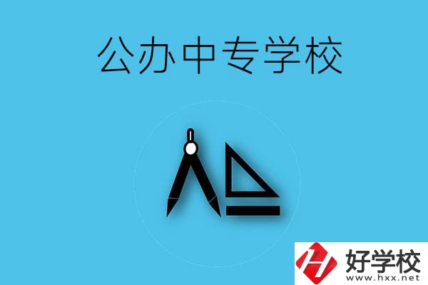 湘西有哪些公辦的中專學校？