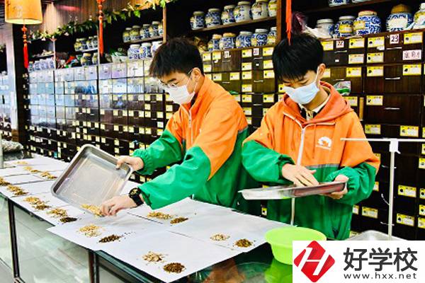 長沙湘麓醫藥中專學校的中藥專業就業前景如何？