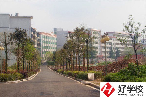 益陽有哪些高級技校？學校有什么亮點？