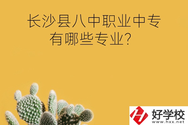 長沙縣八中職業中專好不好？有哪些專業？