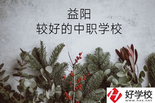 益陽有哪些中職學校比較好？