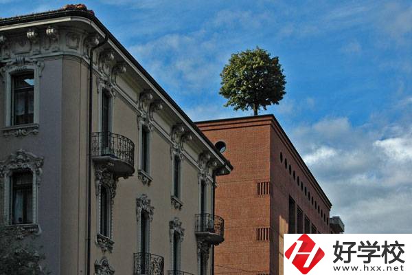 懷化職業技術學院和懷化師范高等?？茖W校