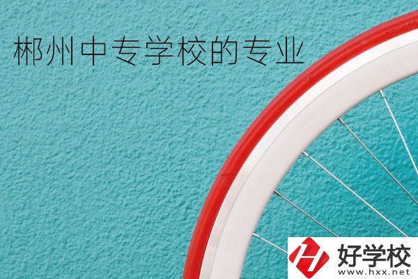 郴州中專學校有什么專業？