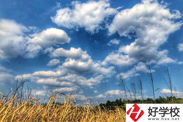 衡陽市瀟湘衛生中等專業學校有哪些特色專業？