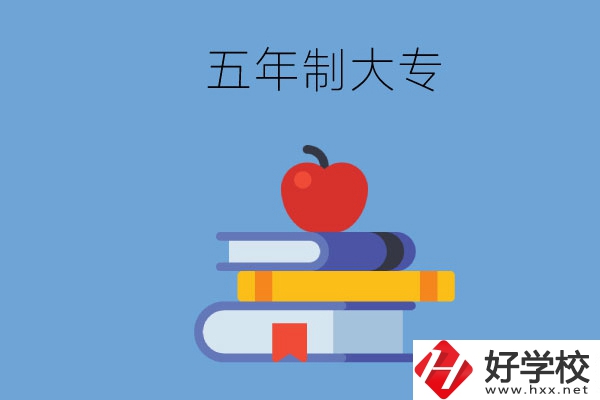 長沙開設教育類專業的五年制大專有哪些？