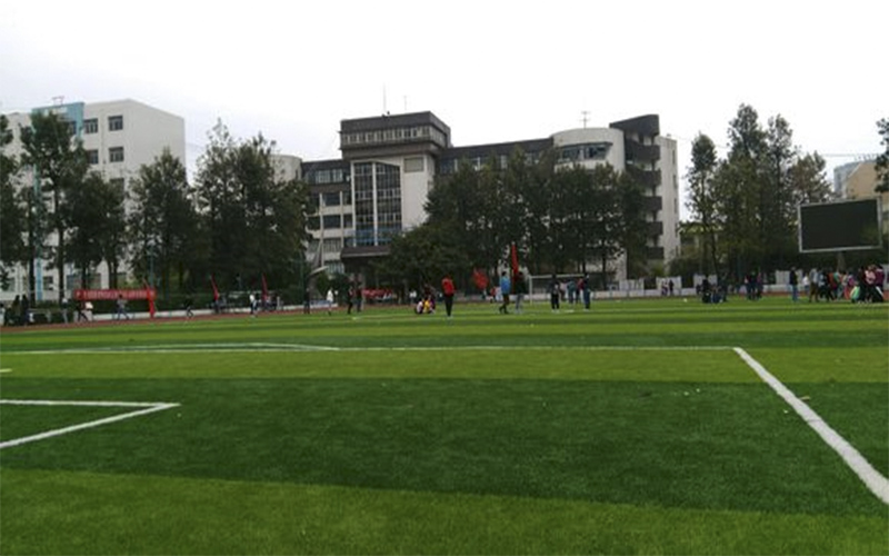 2024年周寧職業中專學校有哪些專業