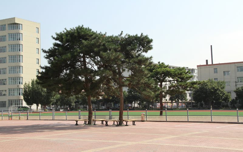 2024年四川省志翔職業技術學校有哪些專業