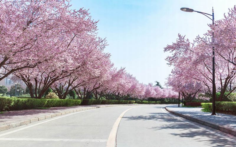 2024年無錫市天元技工學校有哪些專業