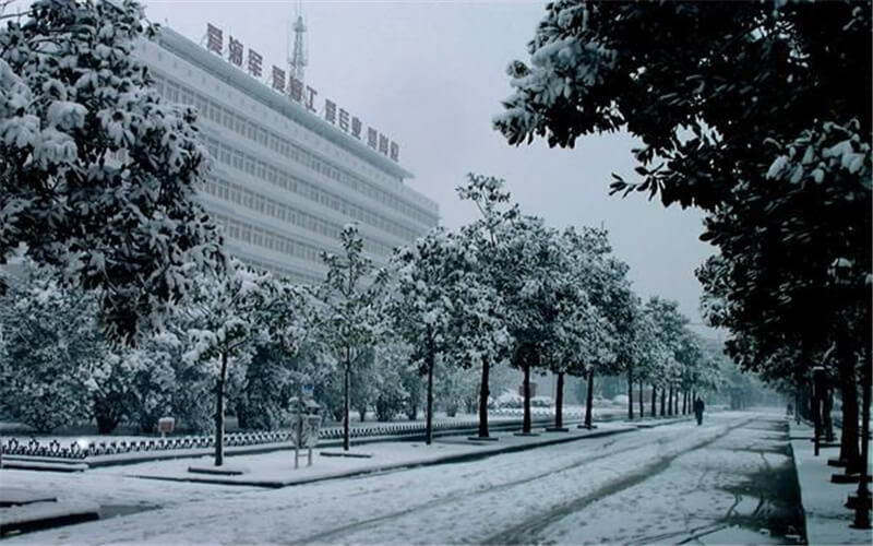 2024年巴中市恩陽區職業中學有哪些專業