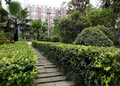 陜西醫學影像技術專業學校招生