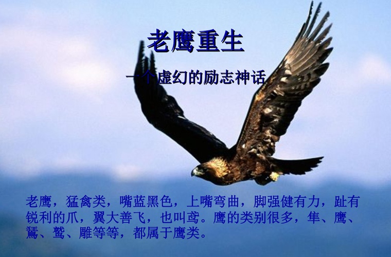 長春中考200-300分能讀什么學校
