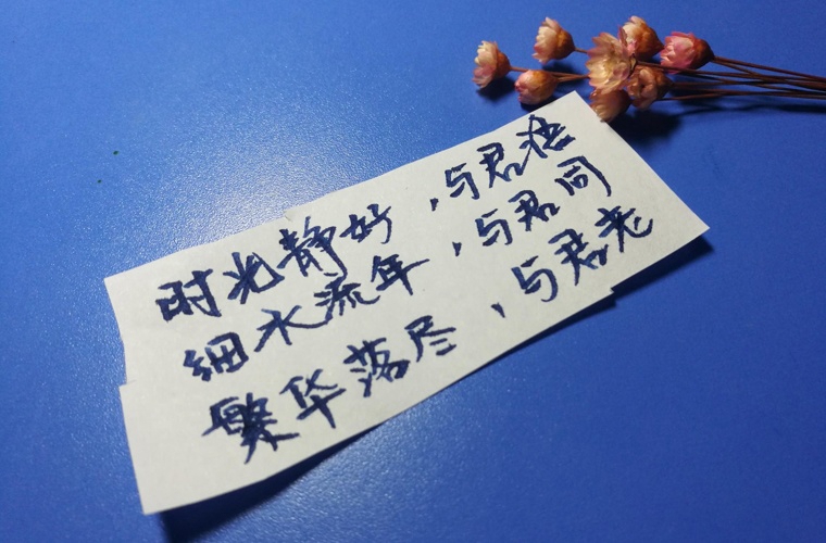 西安東方藝術職業學校2025年招生條件是什么