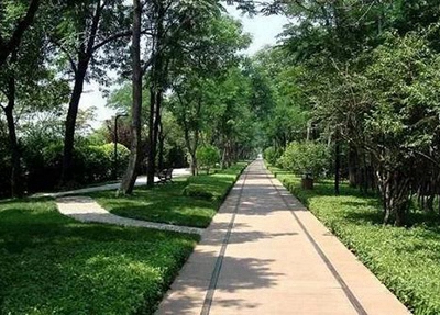 廣東嶺南職業技術學院單招怎么樣（2024）