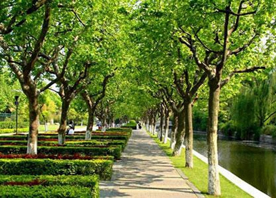 河北2024中專學校生可不可以考大學