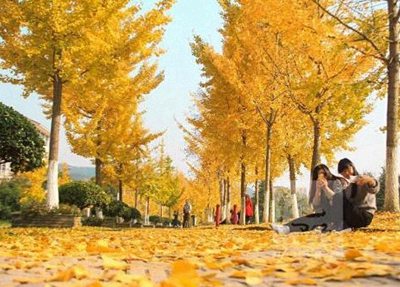 太原第八職業中學校2025年招生條件是什么