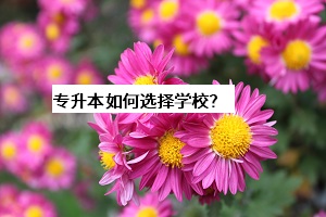 專升本如何選擇學校？