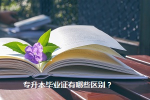 專升本畢業證有哪些區別？