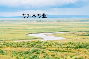 專升本專業